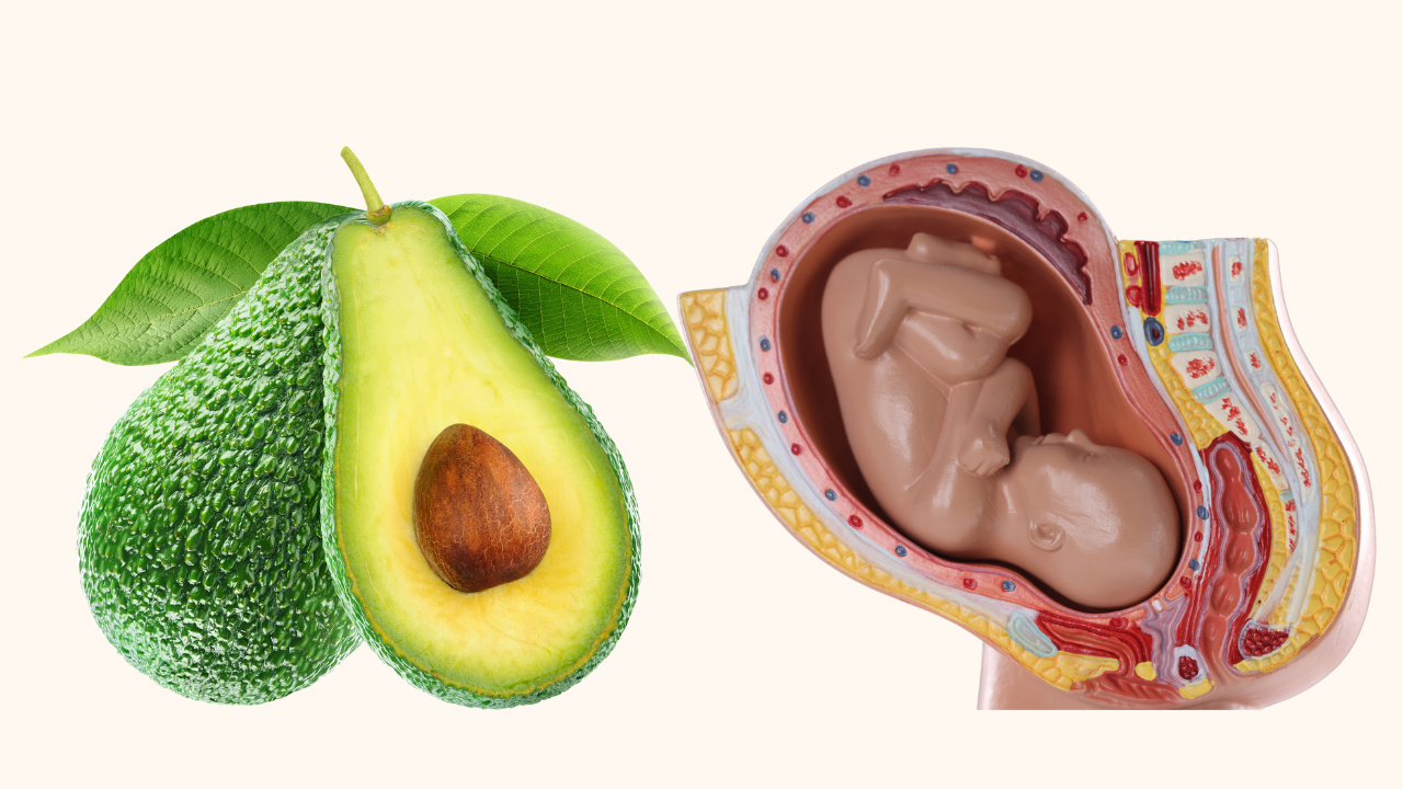 Avocado for womb
