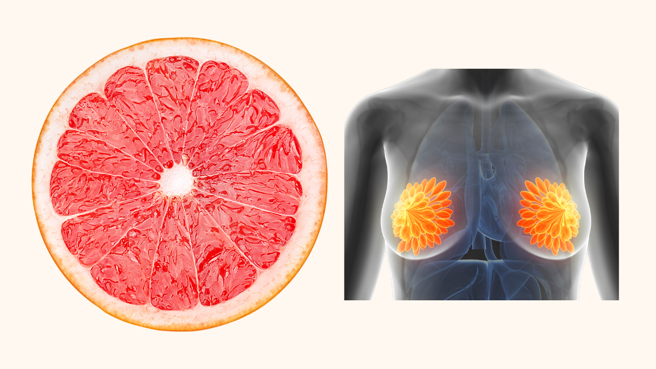 Grapefruit for mammary gland