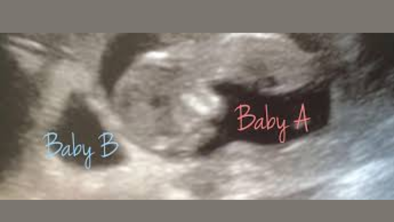 (Credit-American Pregnancy Association)
