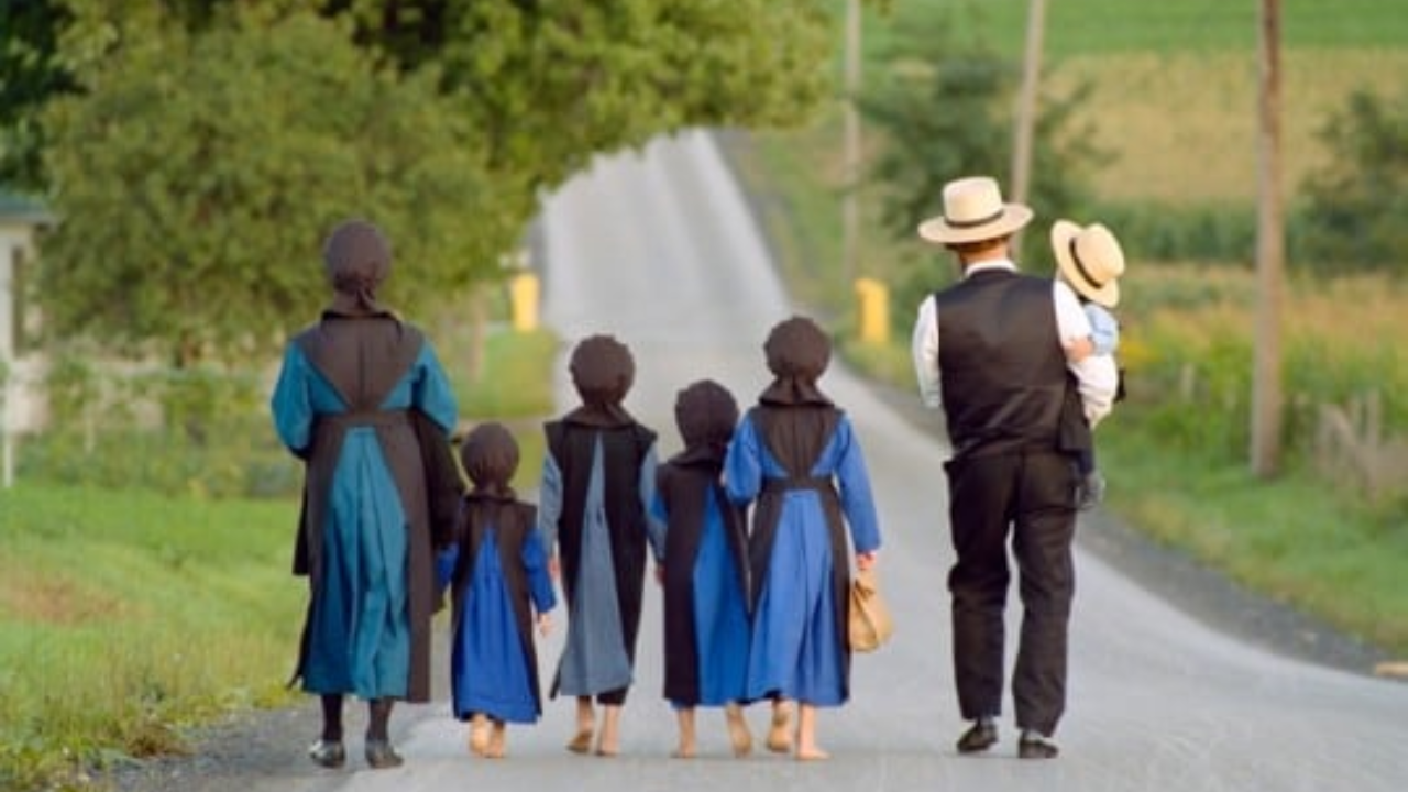 The Reason Behind Less Allergies In Amish Children (Credit-The Amish Village)