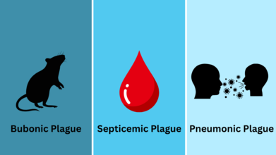 Three kinds of plague