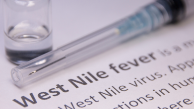 Can West Nile Be Detected Twice? (Credit-Canva)