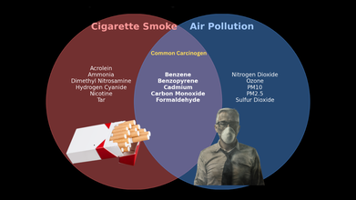Common Carcinogen In A Cigarette And Air Pollutants