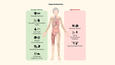 Credits: Cell Reports Medicine