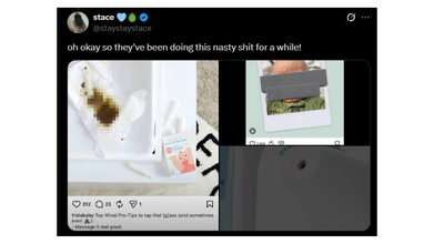 Frida Baby Thermometer Under Scrutiny After Brand Sexualizes Its Packaging (X)