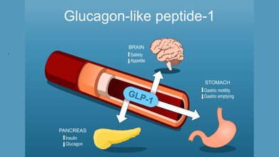 Wegovy And Ozempic Will Cost Less In 2027, Novo Nordisk Slashes Weight Loss Drugs Prices By Half