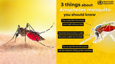 World Malaria Day 2026: Theme, History, And Significance