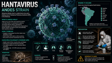 Hantavirus: South African Scientists Identify Strain behind Outbreak On Cruise Ship