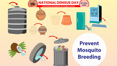 National Dengue Day 2026: India Reports 6,927 Cases And 10 Deaths In 2026