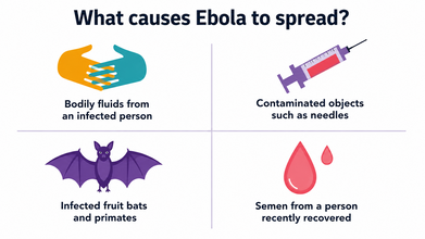 Why Ebola Does Not Spread Like COVID-19: Experts Explain