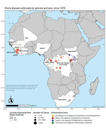 Why Ebola Outbreaks Keep Returning In Africa? | Explained