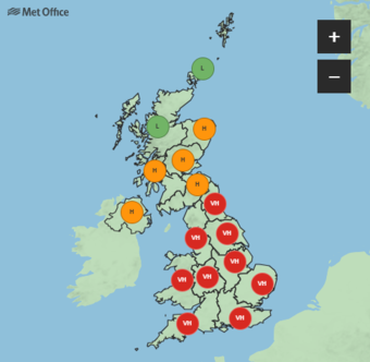 UK Met Office Warns of 'Pollen Bomb': What Hay Fever Patients Need to Know
