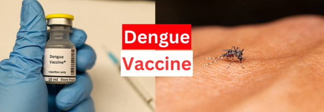 Dengue Vaccine in India