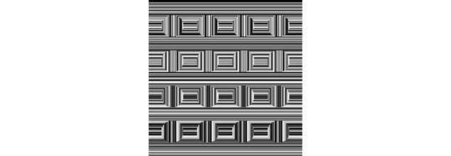 Quiz- Optical illusion