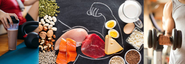 Protein intake for muscle buidling