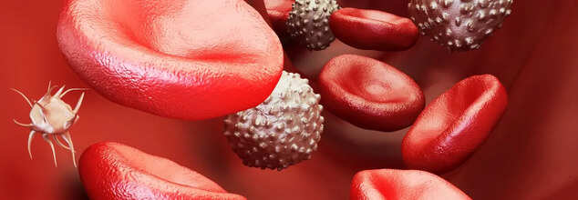 Blood Cancer