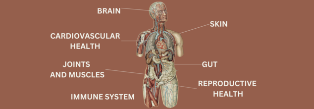 IMPACT OF MENTAL HEALTH ON PHSYICAL BODY