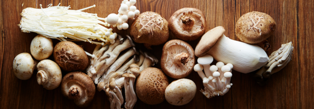 Mushroom (Credit-Canva)