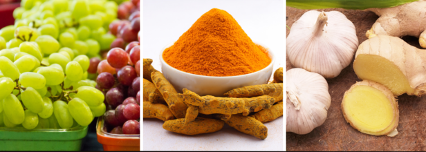 Anti-Cancer properties foods (Credit: Canva)