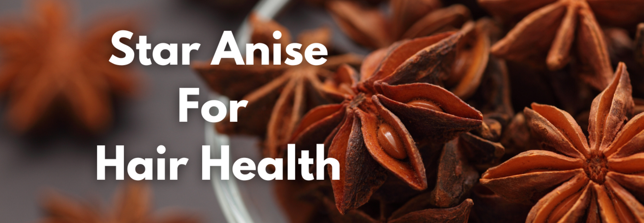 Benefits Of Star Anise For Hair Growth Health and Me