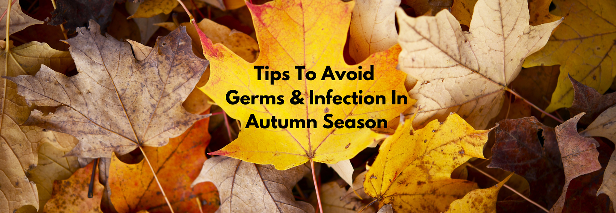 Tips To Avoid Germs And Infection This Autumn Season | Health and Me