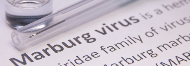 Marburg Virus (Credit-Canva)