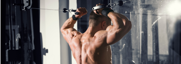 Workout Routine For Maximum Muscle Gain