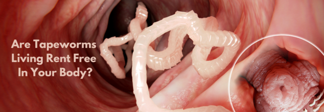 tapeworms