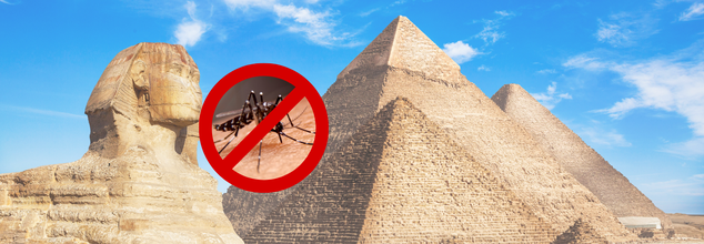 egypt malaria free