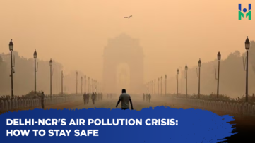 Delhi-NCR's air pollution crisis: How to stay safe