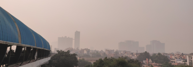 Delhi Pollution