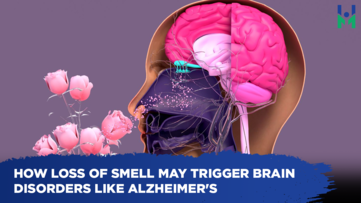 How loss of smell may trigger brain disorders like alzheimer's