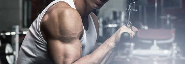 Triceps