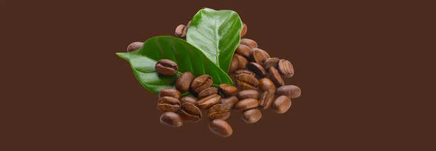 Coffee For Skin
