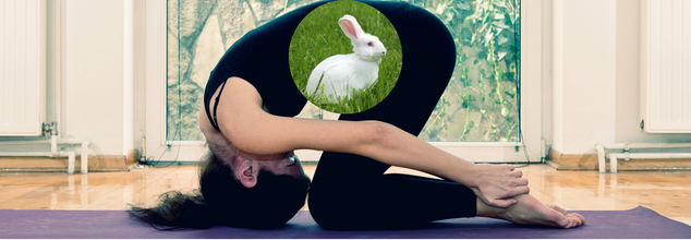 Rabbit yoga