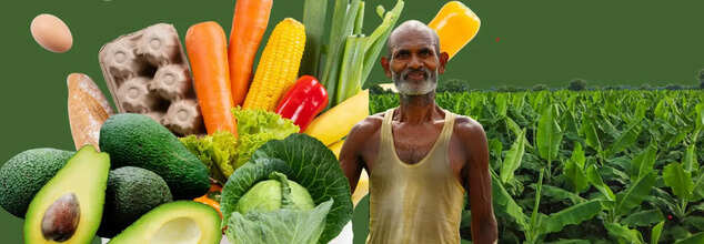 Imported Vs Local Produce