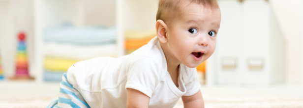 Baby At Six Months
