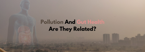 Relationship between pollution and gut health