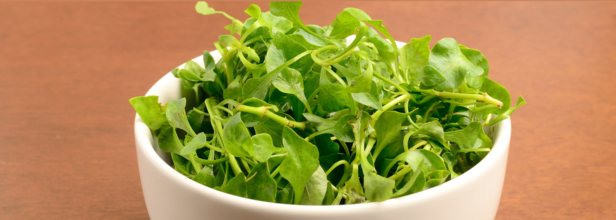 Not Spinach, The Most Nutrient-Dense Leafy Vegetable Is Watercress- Ways To Add More Greens To Your Diet