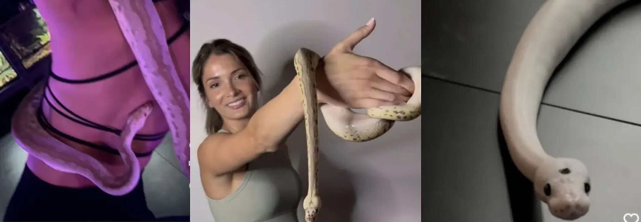 Snake Yoga: US Studio Helps People Conquer Fear of Snakes Through ...
