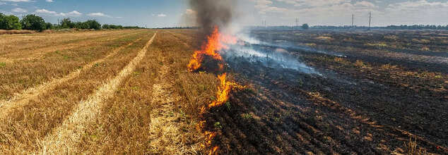 Parali Burning