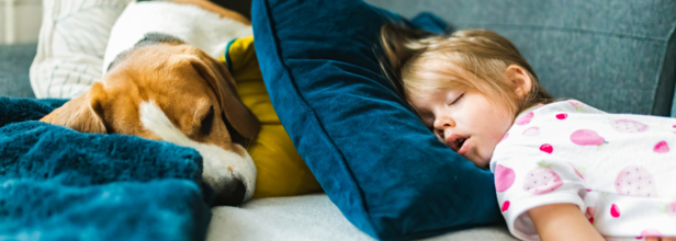 Should You Let Your Dog Sleep On Your Bed?