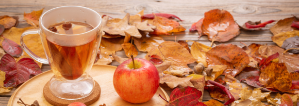 Is drinking apple cider making you sick?