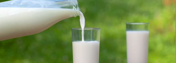 Is Raw Milk Worth The Risk? Truth About Raw Milk And Its Potential For Contamination