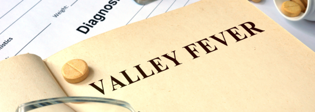 Cases of valley fever spikes in US