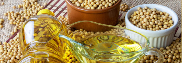 3 Long-Term Effects Of Soybean Oil Consumption