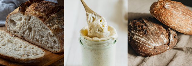 Sourdough And Health Benefits (Credit-Canva)
