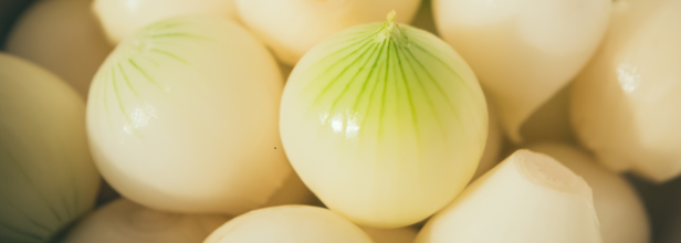 Introducing onions to your baby