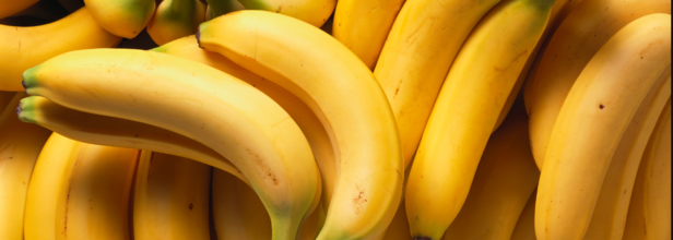 Bananas: Nutritional Powerhouse For Energy And Health