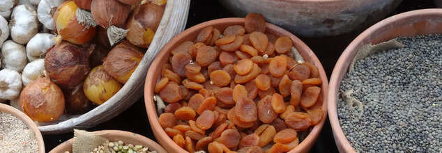 Apricot Seeds